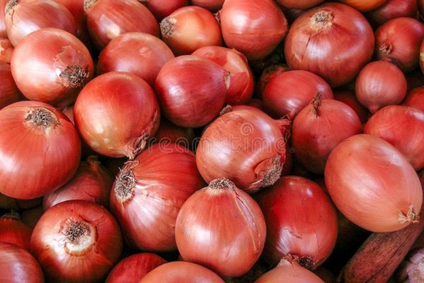 Ссылка на сайт hydra onion